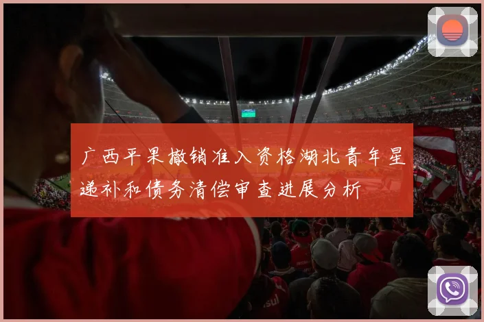 广西平果撤销准入资格湖北青年星递补和债务清偿审查进展分析