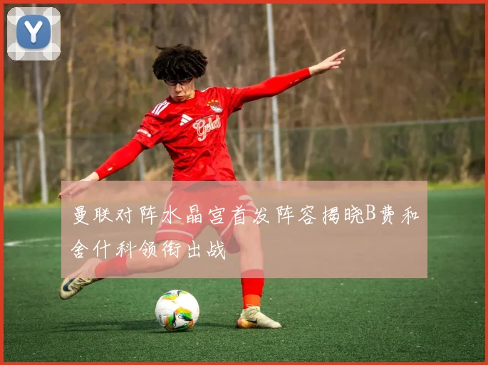曼联对阵水晶宫首发阵容揭晓B费和舍什科领衔出战