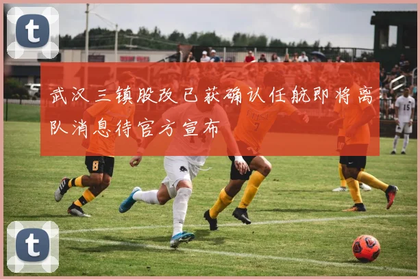 武汉三镇股改已获确认任航即将离队消息待官方宣布
