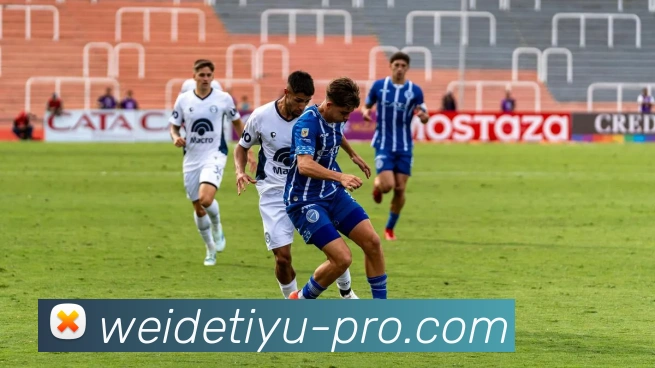 伟德体育平台生态图