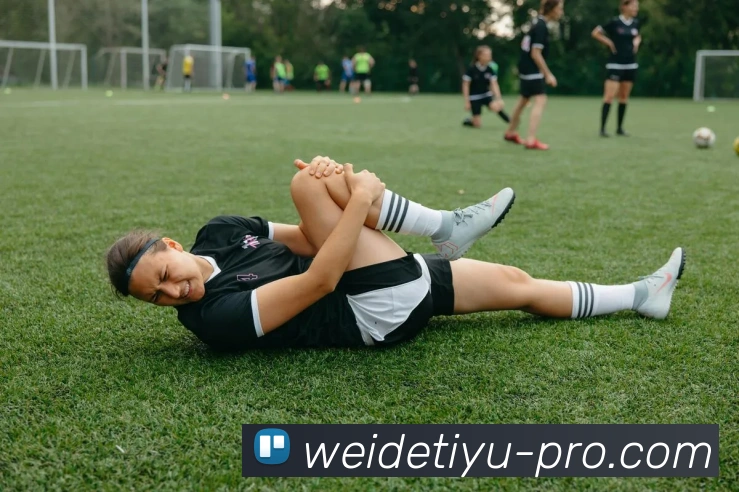 伟德体育APP 封面图